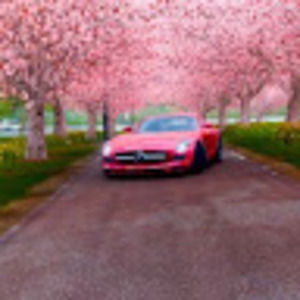 Meet your Posher, Josiah